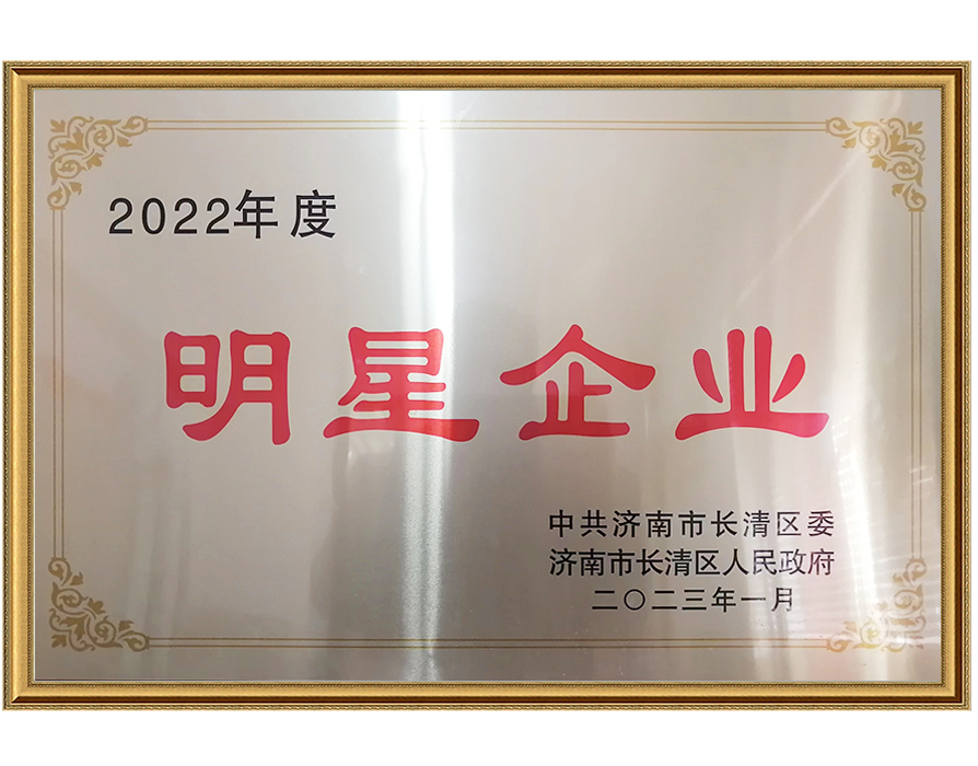 2022年度明星企業(yè)