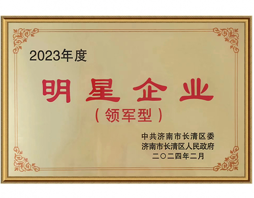 2023年度明星企業(yè)