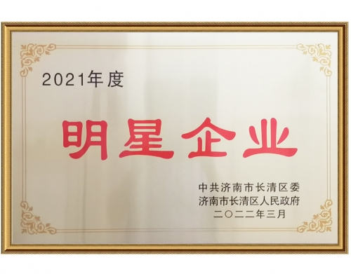 2021年度明星企業(yè)